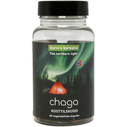 Chaga kapsler (60 kapsler)