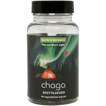 Chaga kapsler (60 kapsler)