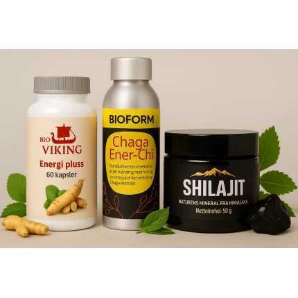 Energipakke – Naturlig Energi og Mental Klarhet med Shilajit, Chaga og Urter
