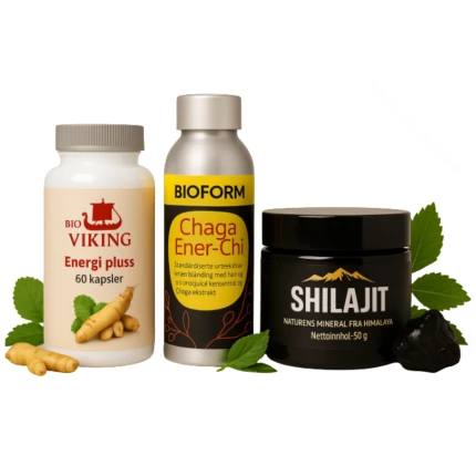 Energipakke – Naturlig Energi og Mental Klarhet med Shilajit, Chaga og Urter