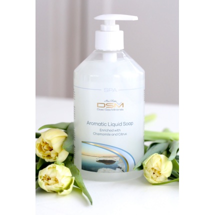 Hånd/kroppssåpe pumpe 500ml  DSM182