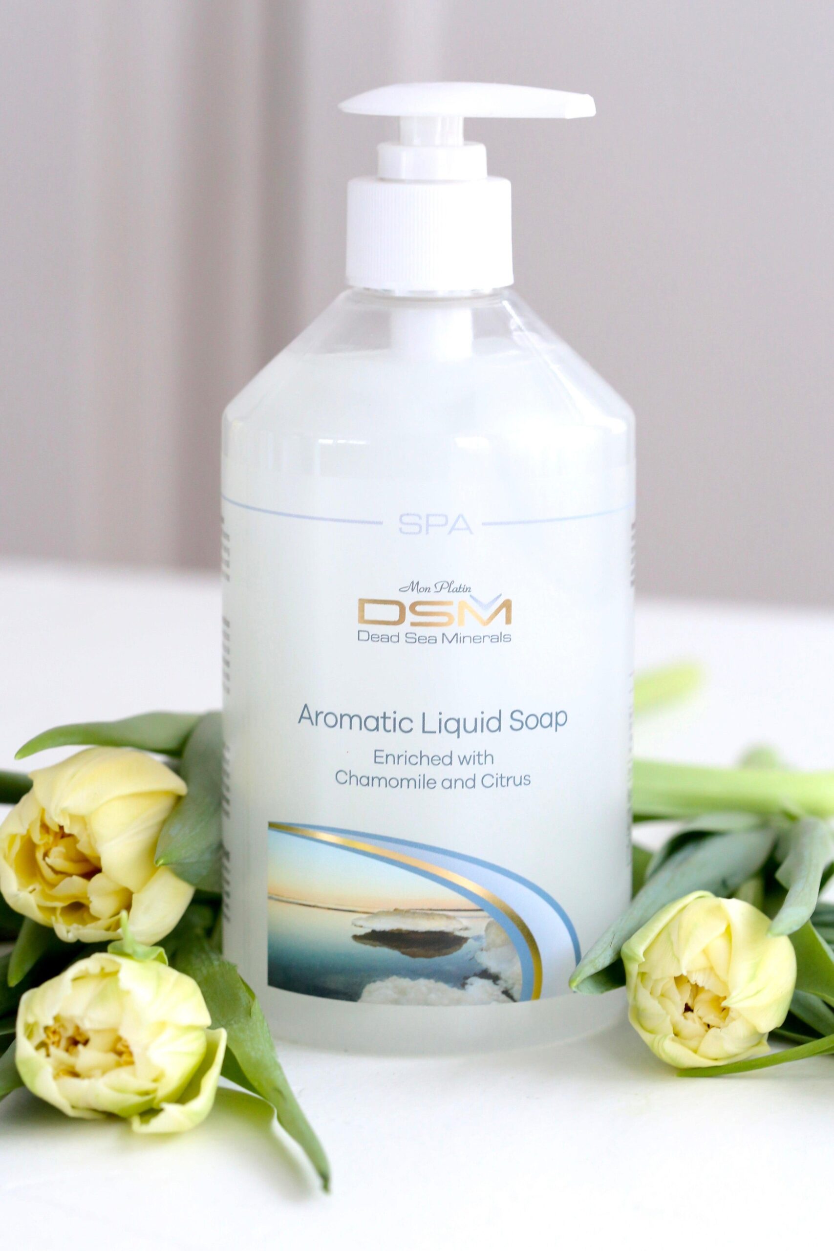 hand7kroppsåpe Hånd/kroppssåpe pumpe 500ml DSM182 - Bilde 1